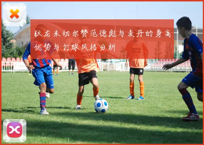 狄龙米切尔赞范德彪与麦丹的身高优势与打球风格分析