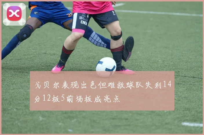 戈贝尔表现出色但难救球队失利14分12板5前场板成亮点